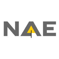 Logo of New Age Exploration (NAE).