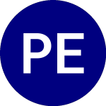 Logo of PSYK ETF (PSYK).