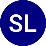 Logo of  (SKJ).
