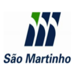 SÃO MARTINHO ON Share Price - SMTO3