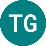 Logo of Toupargel Groupe (0IWR).