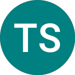 Logo of Total System Services (0LG1).