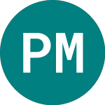 Logo of Polymet Mining (0VD6).