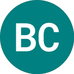 Logo of Baltic Classifieds (BCG).