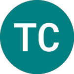 Logo of Tesco Corp T.31 (FE79).