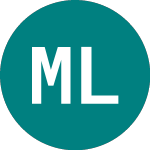 Logo of Merrill Lynch Grtr Eur (MGE).