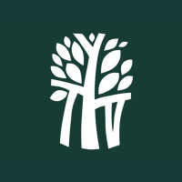 Logo of Banyon Tree (PK) (BYNEF).