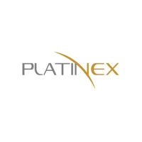 Logo of PTX Metals (QB) (PANXF).