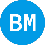 Logo of  (BELM).