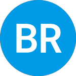 Logo of Big Rock Partners Acquis... (BRPA).