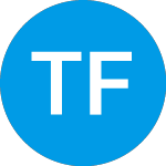 Logo of  (TFDI).